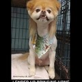 commented item thumbnail