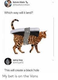 Anti-Gravity Cat? - meme