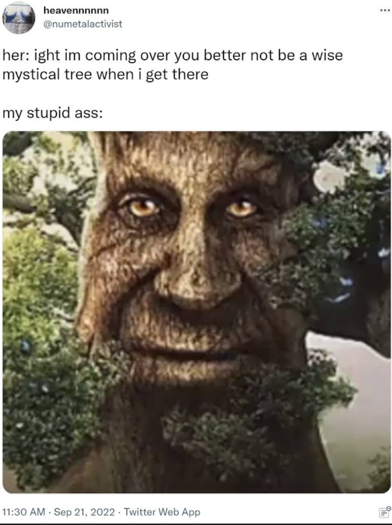 The best Wise Mystical Tree memes :) Memedroid