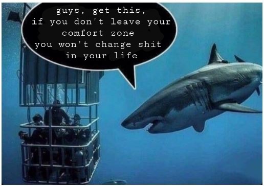 Shark tank - meme