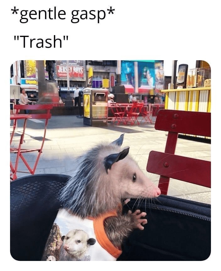 Trash - meme
