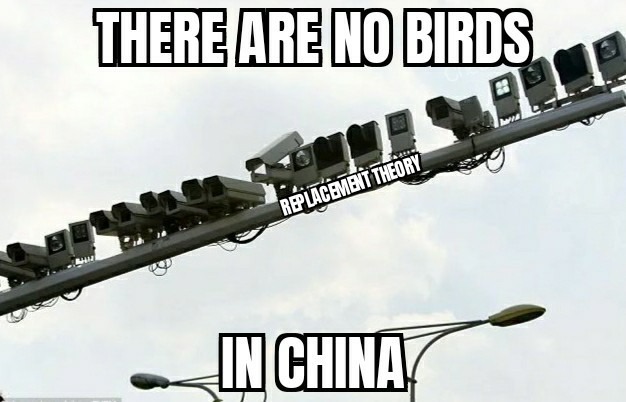 Plenty of bird watchers - meme