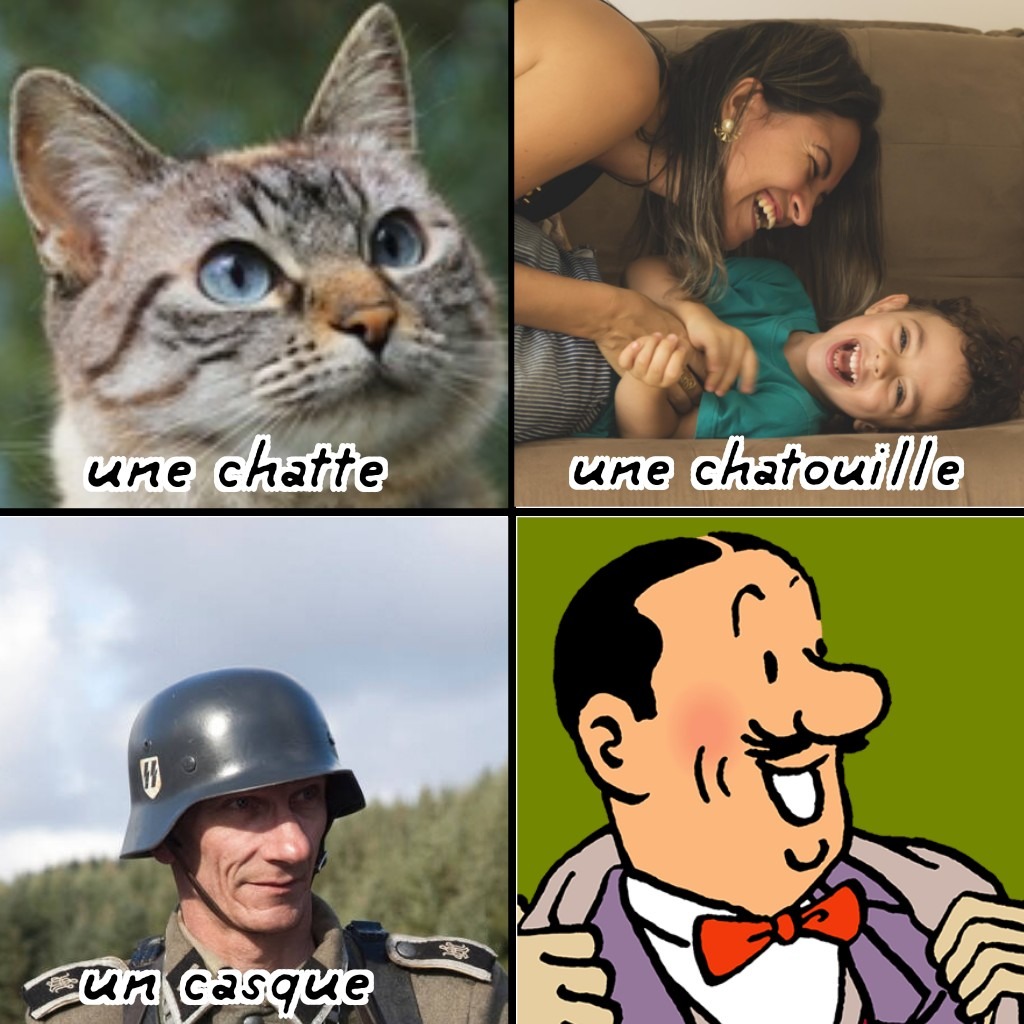 Lisez les albums vraiment - meme