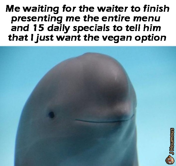 Vegan option - meme