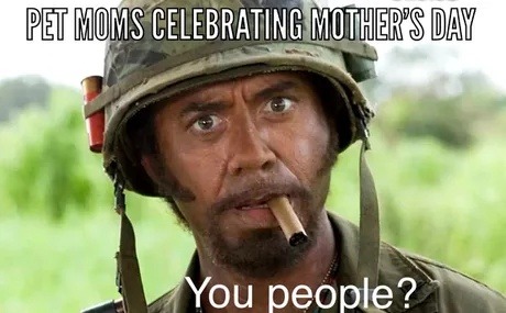 Pet moms on Mother’s Day: we count too! - meme