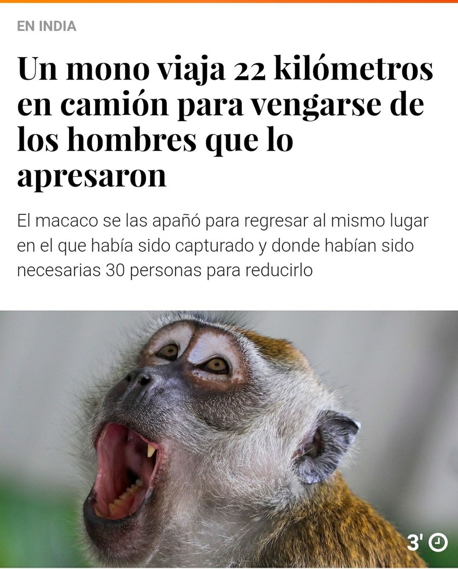 El macaco de los macacos... - meme