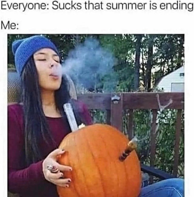 Summer is ending.. - meme