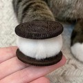 commented item thumbnail