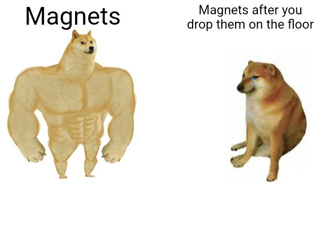 Magnet - meme