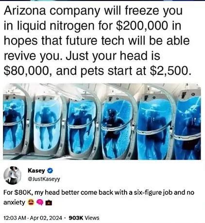 $80k to freeze my head? I better respawn with no anxiety - meme