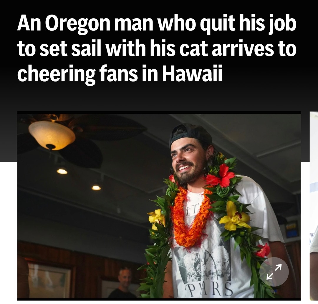 Guy quit job, sailed to Hawaii with his cat, crowd cheered - meme