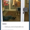 dont fuck with the horse