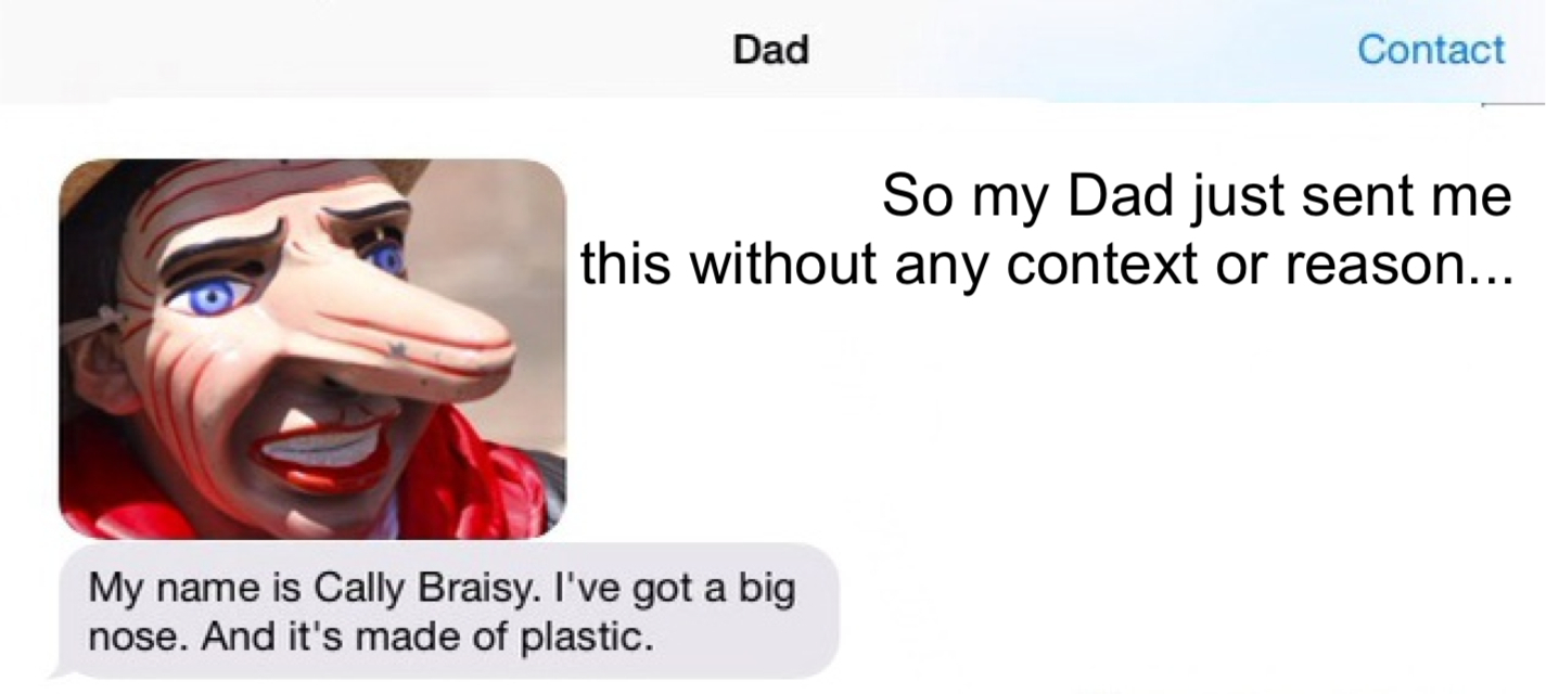 Cally Braisy, the plastic nose guy! - meme