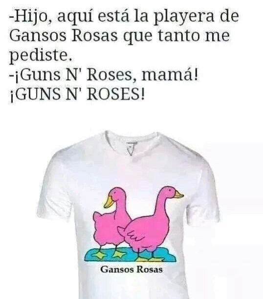 Gansos Rosados - meme