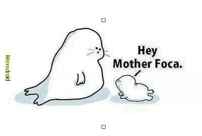 La foca madre - meme