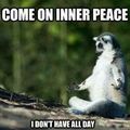inner peace... pfffttt...