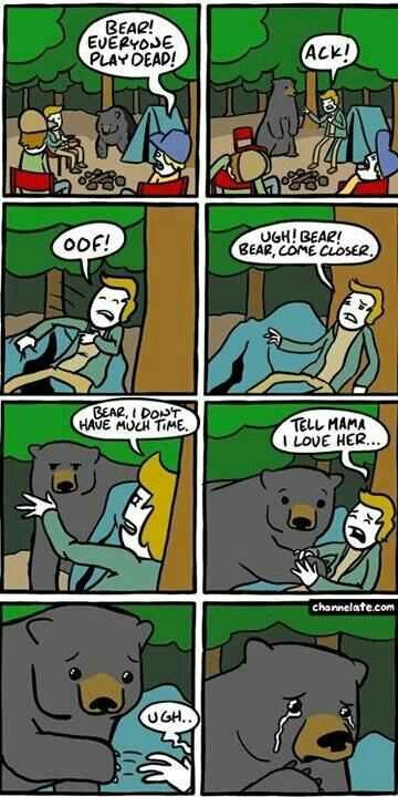 sad bear :/ - meme