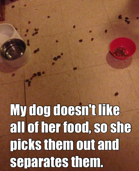 She pulled the bowl out - meme