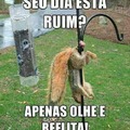 Reflita tchau