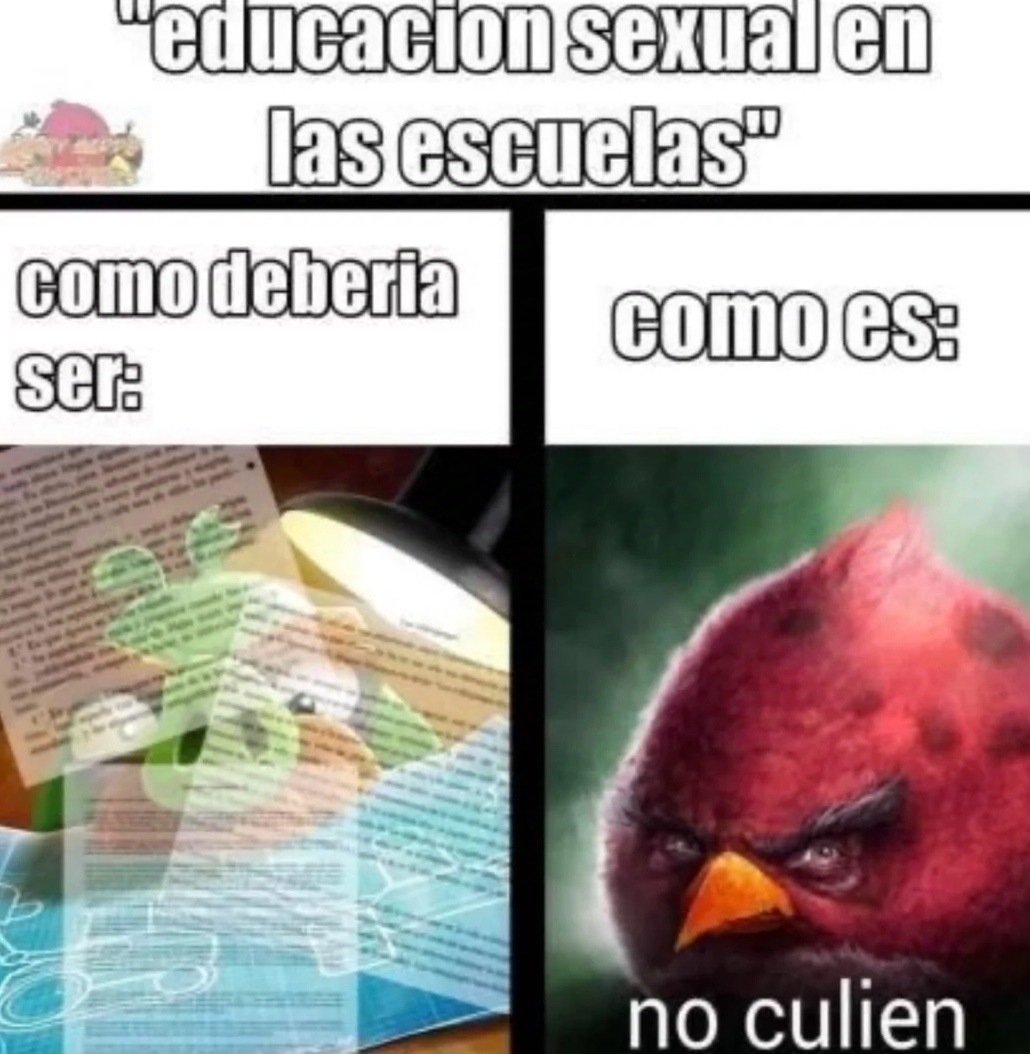 Mejor que aprendan sobre la educaccon sexual porque luego los niños van a ser fans del temach xdxdxd - meme