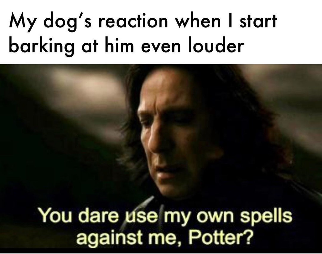 When your dog barks and you bark back louder - meme