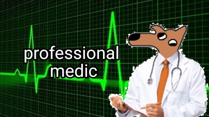 Professional medic - meme