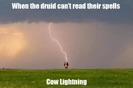 Cow lighting - meme