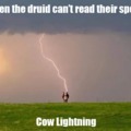 Cow lighting
