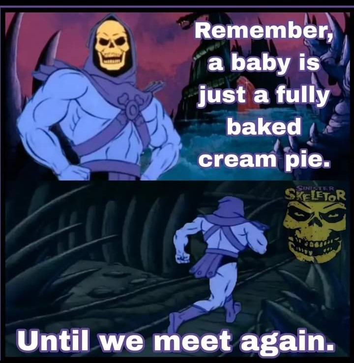 Pro tips from Skeletor..? - meme