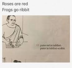 Frogs go ribbit - meme