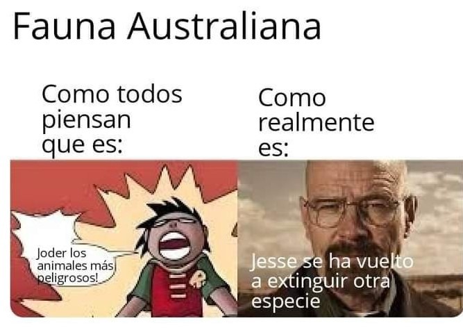 Fauna australiana - meme