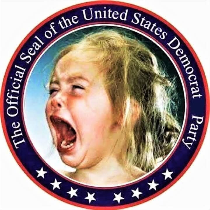 Democratic party in a nutshell - meme