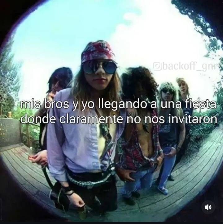 Gansosrosas - meme