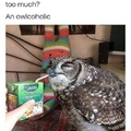 owl sip