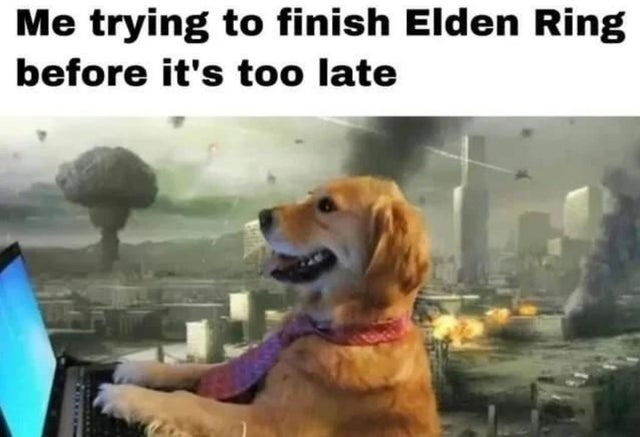 Me trying to finish Elden Ring before it's too late - meme