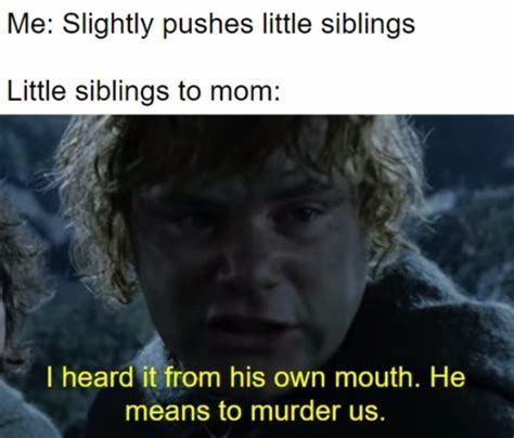 Siblings *shakes head mournfully* - meme