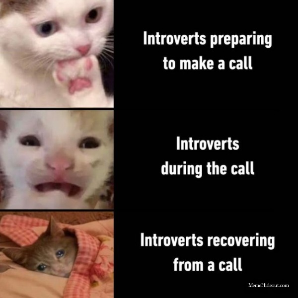 Introvert - meme