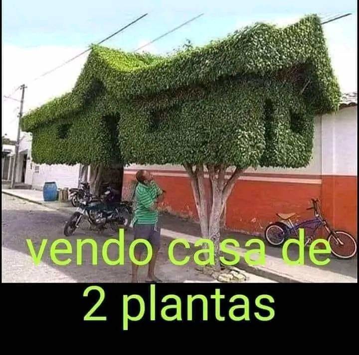 A - meme