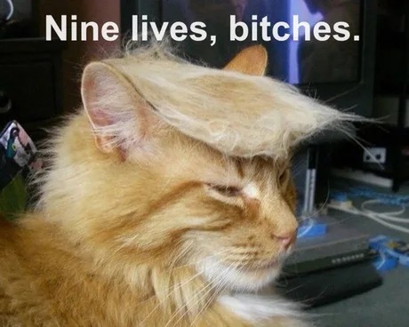 9 vidas de Trump - meme
