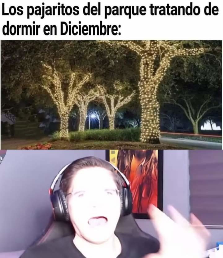 Pajaros - meme