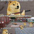 le gun safety