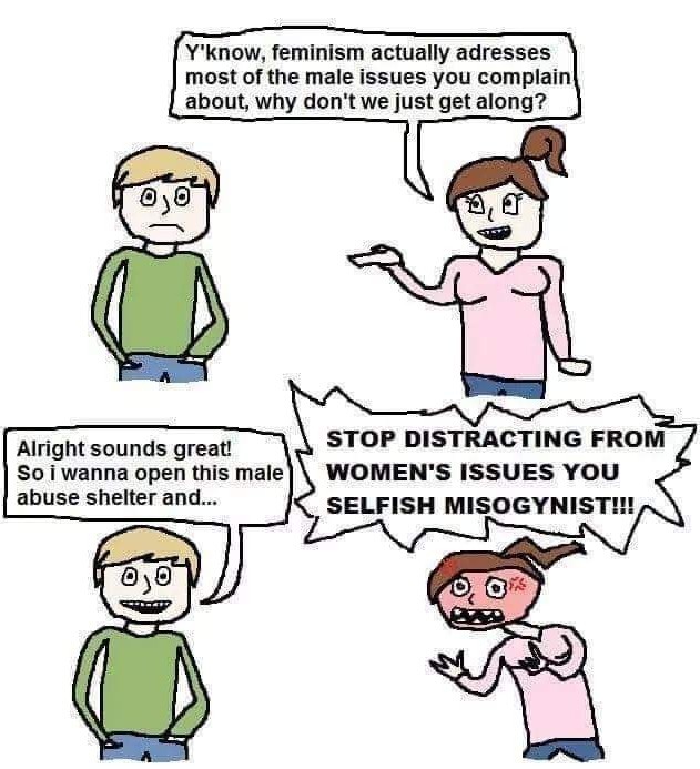 Stupid feminist logic - meme