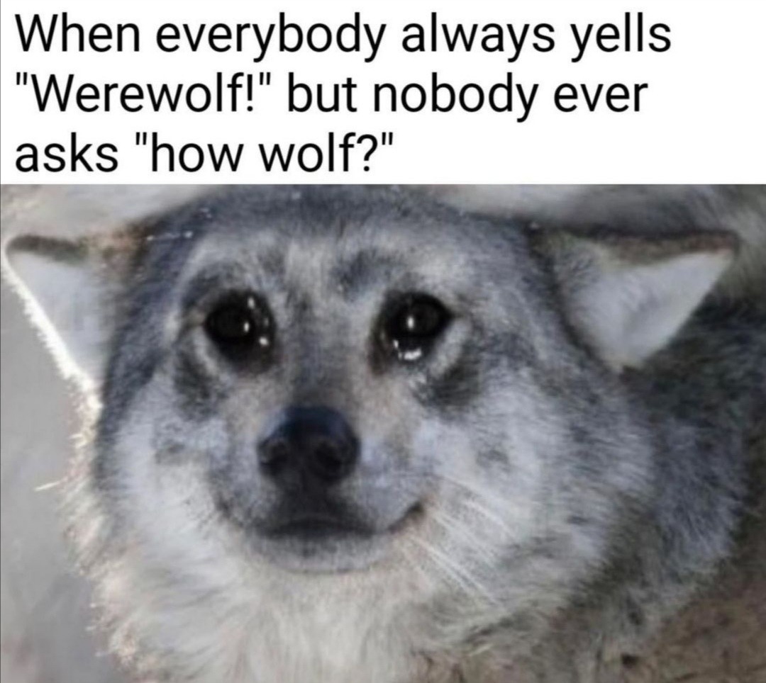 Sad Wolf :( - meme
