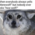 Sad Wolf :(
