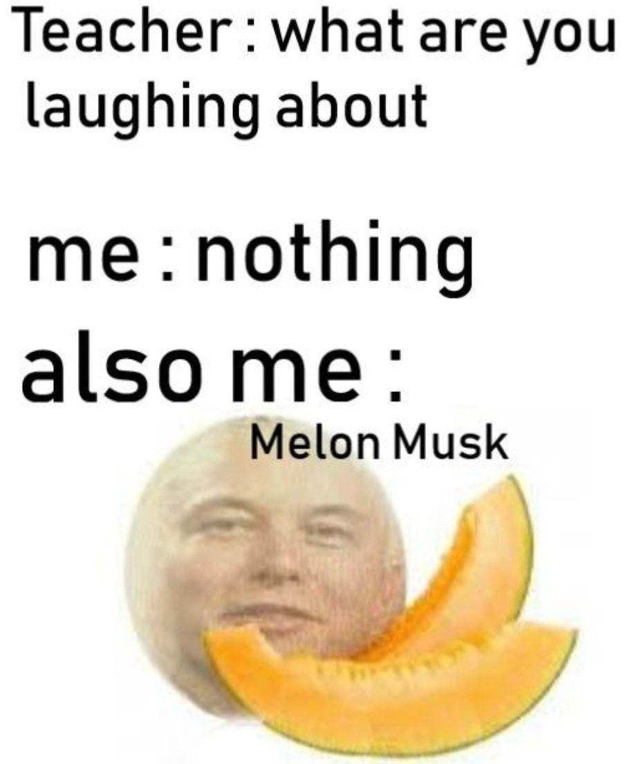 Melon Musk (revision 2) - meme