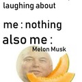 Melon Musk (revision 2)