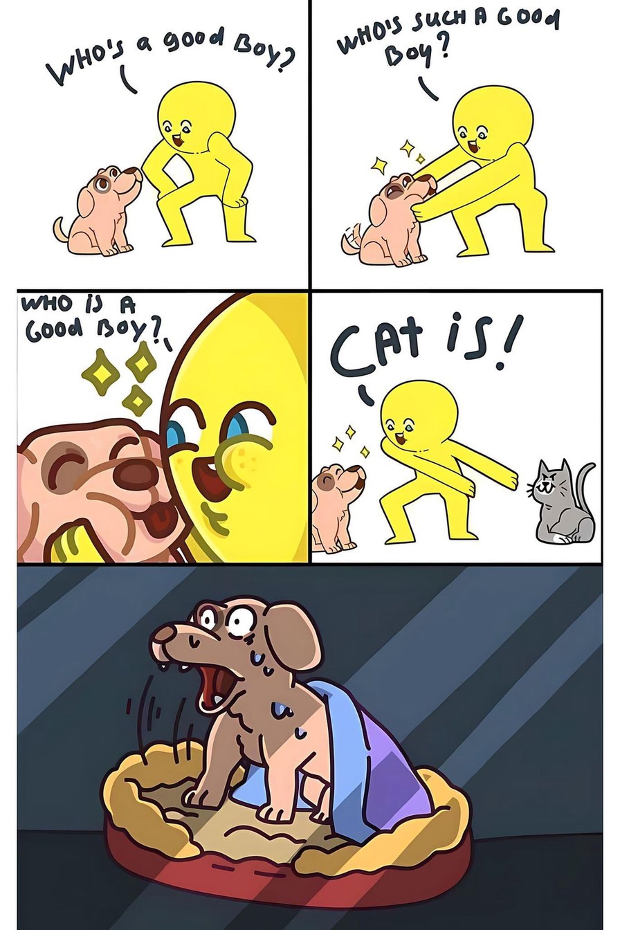 Not the cat - meme