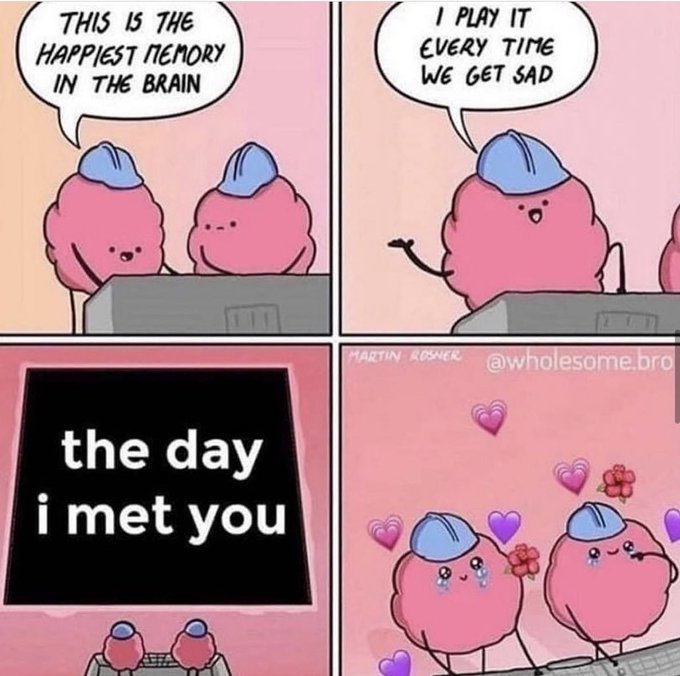 2018 was a beautiful year - meme