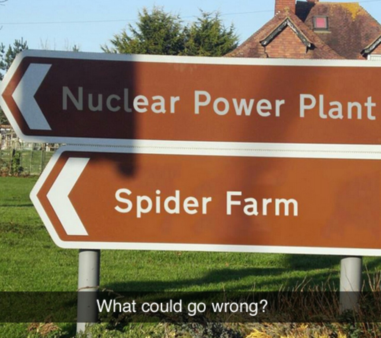 Giant mutant spiders.. seems legit - meme
