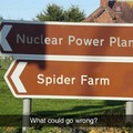 Giant mutant spiders.. seems legit